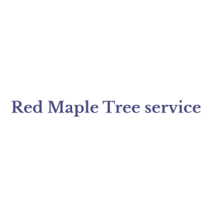 Red-Maple-Tree-Service