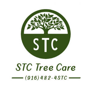 STC-Tree-Care