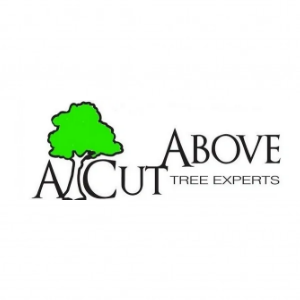 A Cut Above Tree Experts