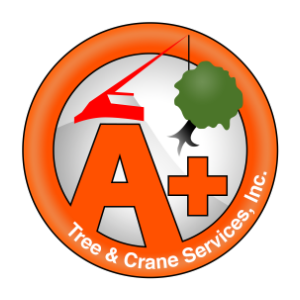 A Plus Tree _ Crane Services