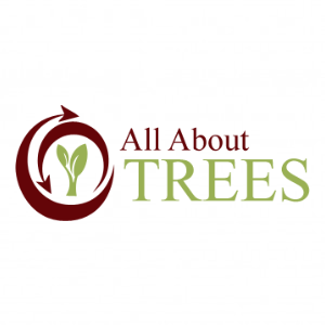 All About Trees