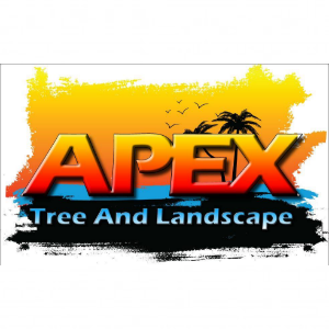 Apex Tree and Landscape