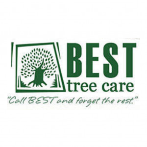 Best Tree Care