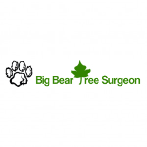Big Bear Tree Surgeon