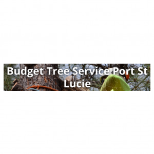 Budget Tree Service Port St Lucie