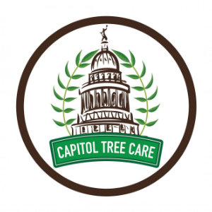 Capitol Tree Care, LLC