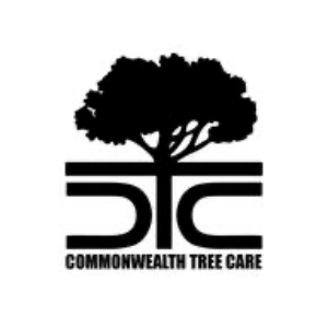Commonwealth Tree Care