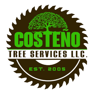 Costeno Tree Services
