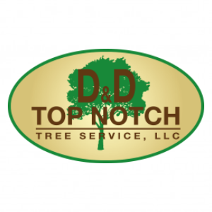 D and D Top Notch Tree Service
