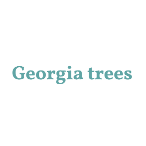 Georgia Trees