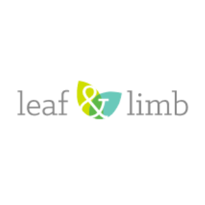 Leaf _ Limb