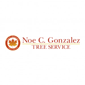 Noe C. Gonzalez