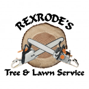 Rexrode Tree and Lawn Service