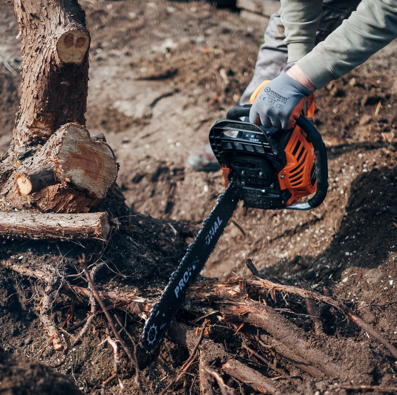 Cutting Roots