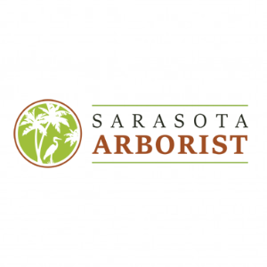 Sarasota Arborist