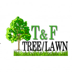 T_F Tree and Law