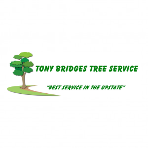 Tony Bridges Tree Service