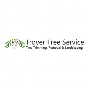 Troyer Tree Service