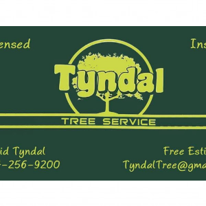 Tyndal Tree Service