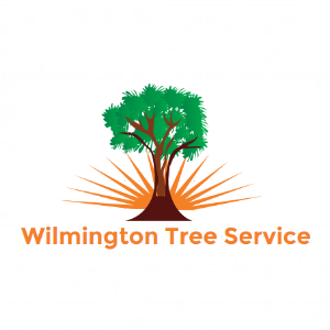 Wilmington Tree Service