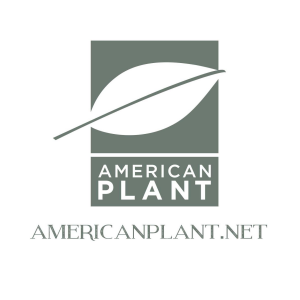 American Plant-Garden Center _ Nursery
