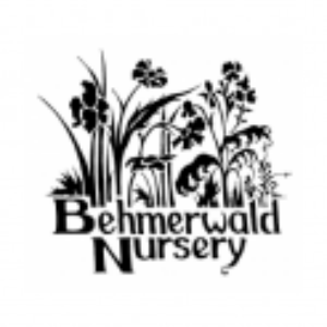 Behmerwald Nursery