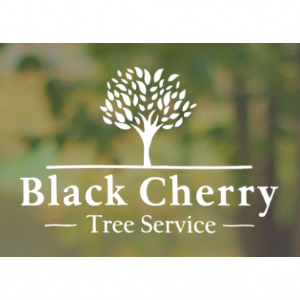 Black Cherry Tree Service