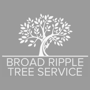 Broad Ripple Tree Service, Inc.