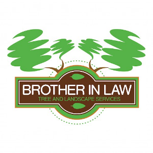 Brother in Law Tree Service