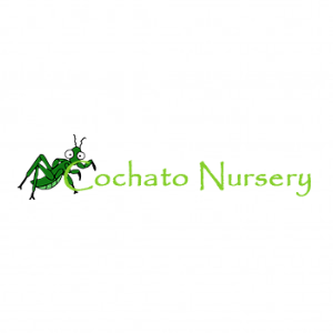 Cochato Nursery