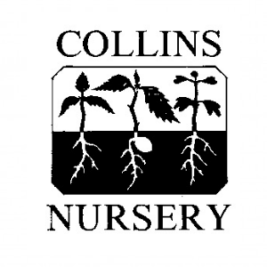 Collins Nursery