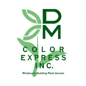 Dm Color Express
