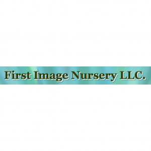 First Image Nursery