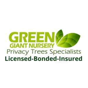 Green Giant Nursery