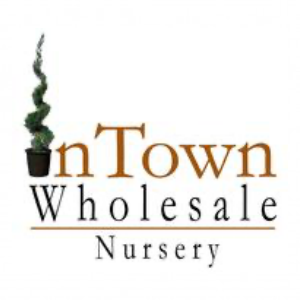 Intown Wholesale Nursery