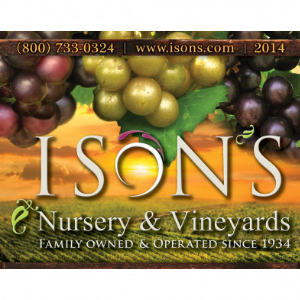 Ison_s Nursery _ Vineyard