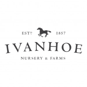 Ivanhoe Nursery