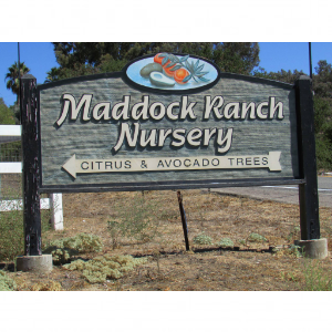 Maddock Nursery