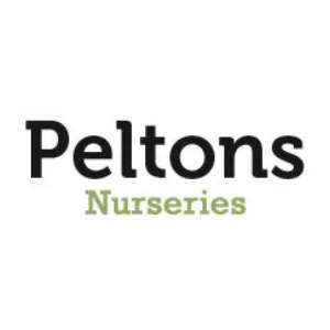 Pelton_s Nurseries