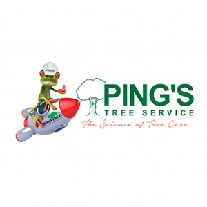 Ping's Tree Service