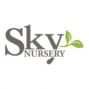 Sky Nursery