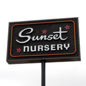 Sunset Blvd Nursery