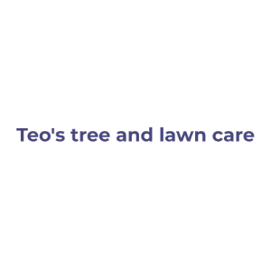 Teo_s Tree And Lawn Care