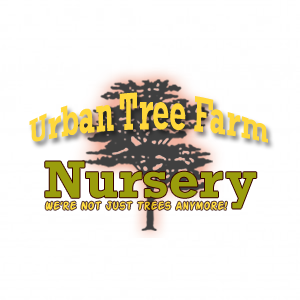 Urban Tree Farm Nursery