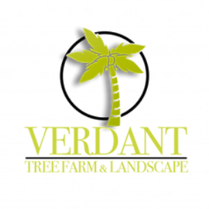 Verdant Tree Farm and Landscape
