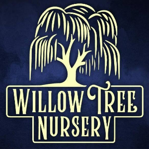 Willow Tree Nursery