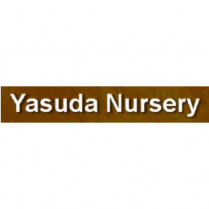 Yasuda Nursery