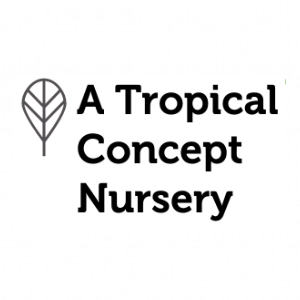 A Tropical Concept Nursery