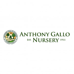 Anthony Gallo Nursery, Inc.