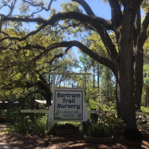 Bartram Trail Nursery Garden Center